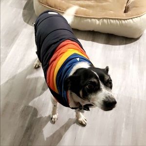 Meet your Posher, Jordan